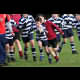 image 52 of 88